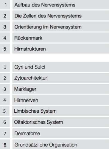Neuroanatomie Flashcards Quizlet