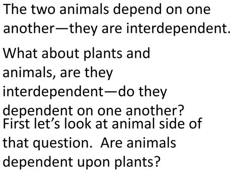 Plants And Animals Depend On Each Other Teach 2nd3rd Grade Ppt