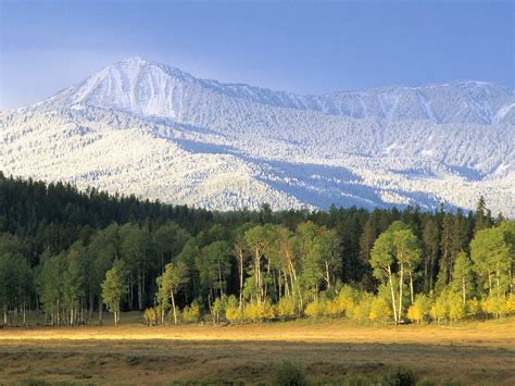 Travel Trip Journey: Yellowstone National Park USA