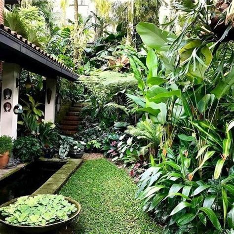 47 Garden With Tropical Landscape Design | Tropical landscape design ...