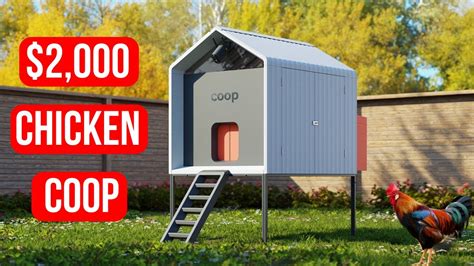 A SMART CHICKEN COOP FOR THE BACKYARD СHICKEN COOP BUILD YouTube