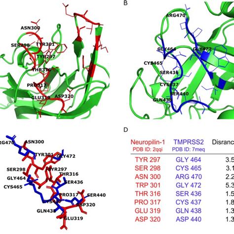 Docking Scores Of Neuropilin Inhibitors Eg And Eg