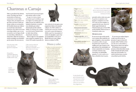 Guia Definitiva De Razas De Gatos Libsa