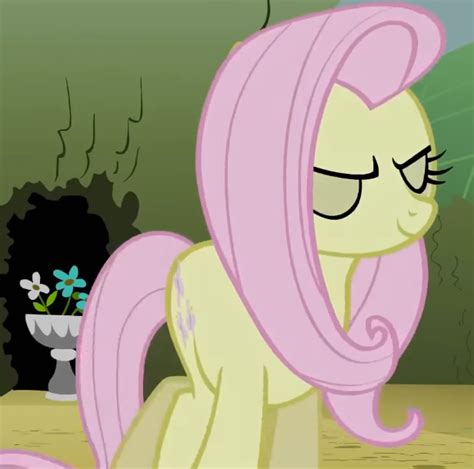 Safe Screencap Fluttershy Earth Pony Pony G Season