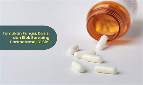 Paracetamol Fungsi Dosis Efek Samping Panduan Lengkap