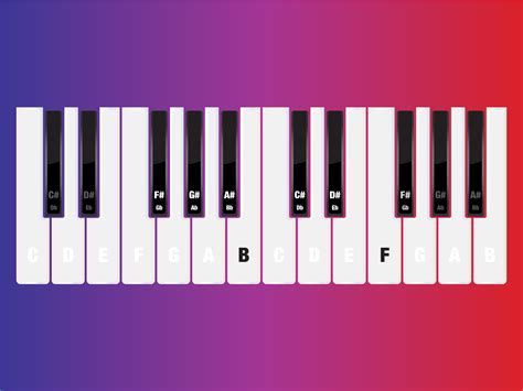 Piano Scales by Brett Snowball on Dribbble