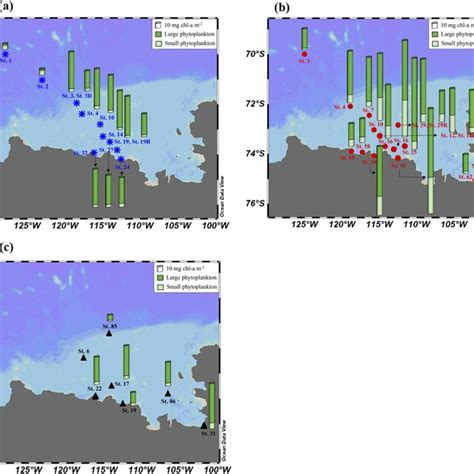 The Chl‐a Concentrations Of Large And Small Phytoplankton During A