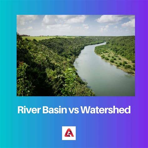 River Basin Vs Watershed Difference And Comparison