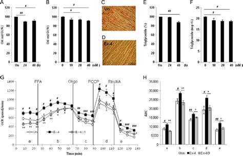 Ex 4 Reduced Fatty Acid Induced Lipid Accumulation And Increased Oxygen