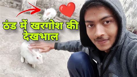 Thand Mein Rabbit Ki Dekhbhal Kaise Kare 🐇 How To Take Care Of A