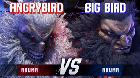 Sf Angrybird Akuma Vs Big Bird Akuma High Level Gameplay Youtube