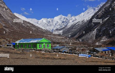 Snow covered Gangchenpo, view from the small village Mundu, Langtang ...