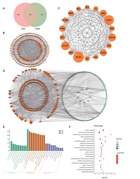 Network Pharmacological Analysis And Biological Functional Enrichment Download Scientific