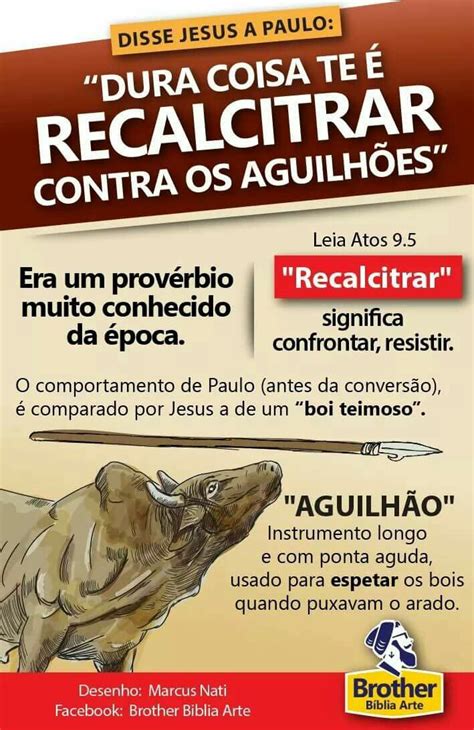 O Que É Recalcitrar - Curiosidade Bíblica: Recalcitrar contra os aguilhões