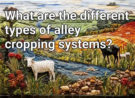 What are the different types of alley cropping systems? – Agriculture.Gov.Capital