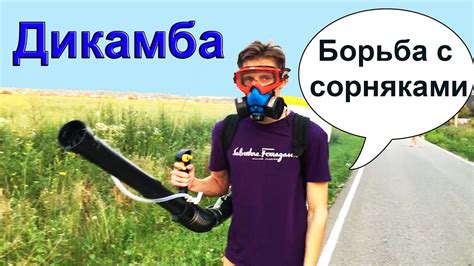 Гербициды по бурьяну перед посадкой чеснока. - YouTube