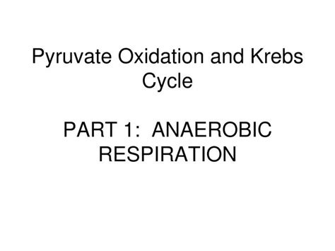 Ppt Pyruvate Oxidation And Krebs Cycle Part Anaerobic Respiration