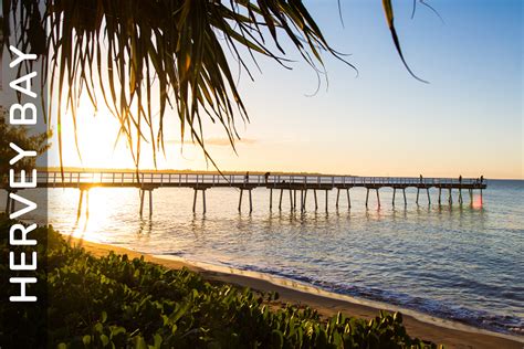 Positive Behaviour Support In Hervey Bay Meet Pbs Practitioner And