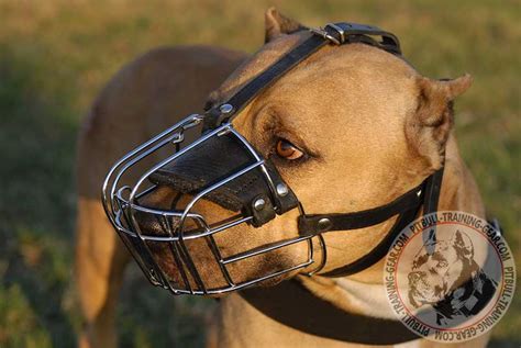 Order Adjustable Wire Basket Pitbull Muzzle | Dog Training Walking