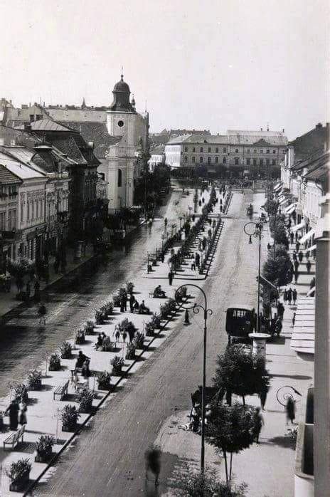 Clujul verde din anii 70 În Epoca de Aur s a plantat și îngrijit