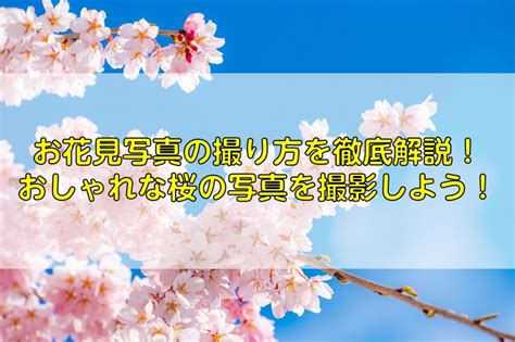 お花見写真の撮り方を徹底解説！おしゃれな桜の写真を撮影しよう！｜ふぉとるプラス｜出張撮影・写真撮影の総合webメディア