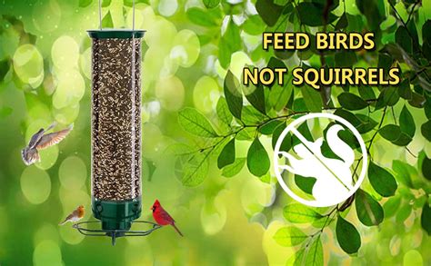 Squirrel Proof Spinning Wild Bird Feeder 2023 New Plastic