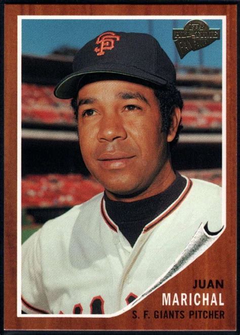 Amazon Baseball Mlb Topps All Time Fan Favorites Juan