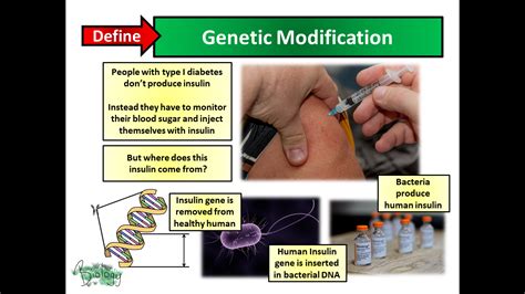 Genetic Modification - AQA Activate | Teaching Resources