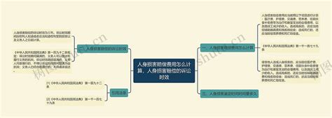 人身损害赔偿费用怎么计算，人身损害赔偿的诉讼时效思维导图编号p7122266 Treemind树图