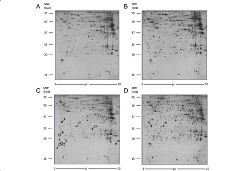 Differentially Expressed Proteins In Liver Tissue Spot Number Reflects