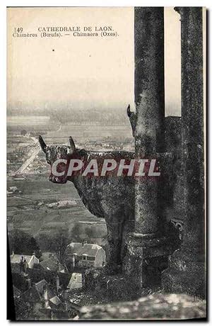 Carte Postale Ancienne Gargouille Cathédrale de Laon Chimeres