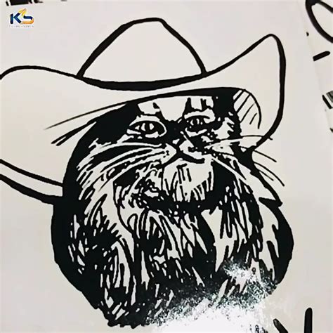 Pegatina De Vinilo Impermeable Meowdy Texas Cat Meme Personalizada Para