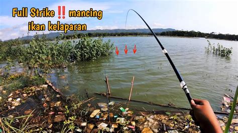 SPOT LEGENDARIS IKAN BERKUMPUL DI BAWAH KANGKUNG AYO KITA COBA