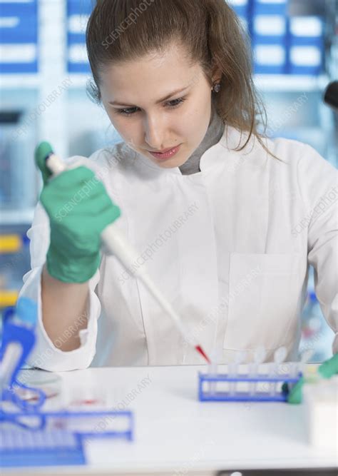 Lab Assistant Using Pipette Stock Image F011 4373 Science Photo