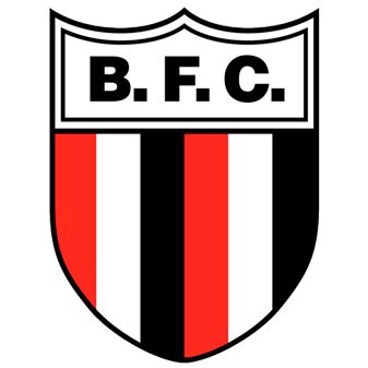 Institucional Botafogo F C