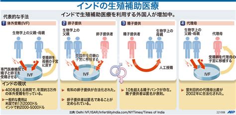 【図解】インドの生殖補助医療 写真1枚 国際ニュース：afpbb News