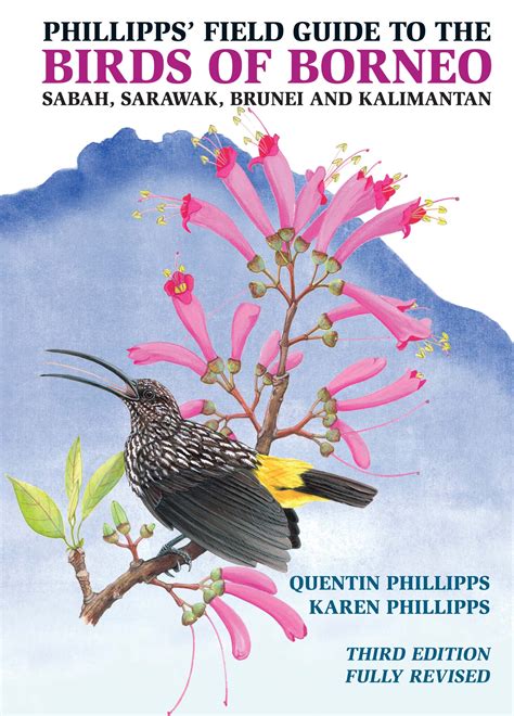 Phillipps Field Guide To The Birds Of Borneo 3rd Edition John