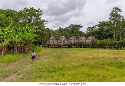 Agriculture Guyana: Over 284 Royalty-Free Licensable Stock Photos ...