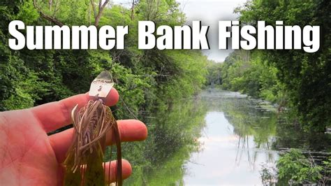 Summer Bass Fishing From The Bank Broke My Pbmaybe Bass Manager