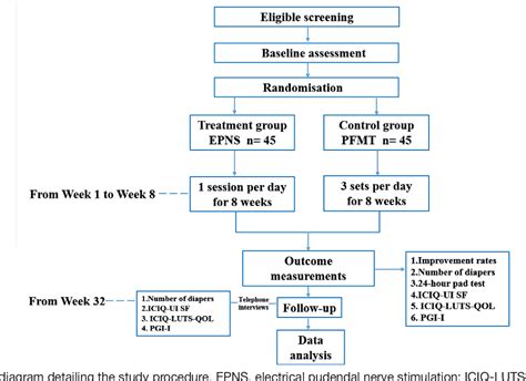 Figure From Efficacy Of Electrical Pudendal Nerve Stimulation Versus