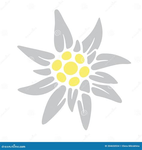 Edelweiss Icon Colored Silhouette Of A Mountain Flower Symbol Of The