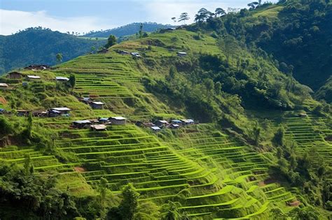 Premium Photo | Hillside with Terraced Farming Landscape