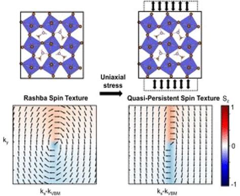 Persistent And Quasipersistent Spin Textures In Halide Perovskites