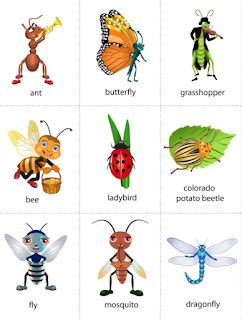 wild animals quiz  young learners english language resources