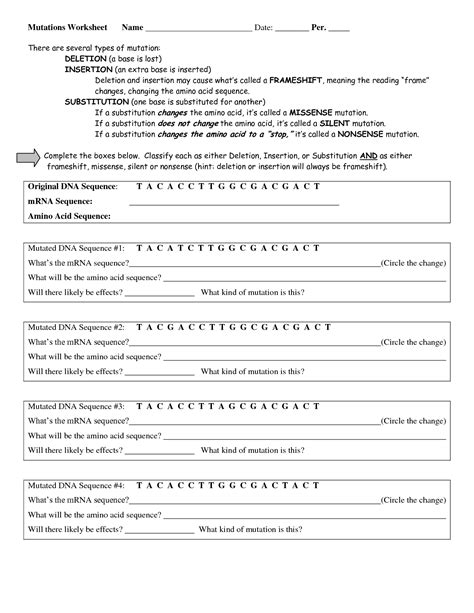 Genetic Mutation Worksheet Answer Key