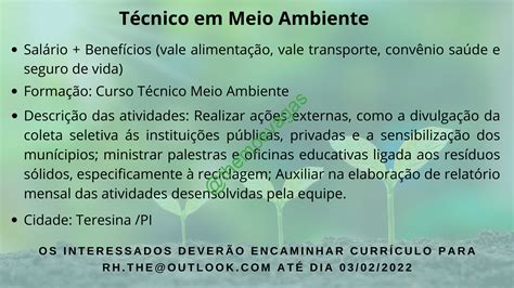 Técnico em Meio Ambiente Teresina PI 01 vaga s Themos Vagas