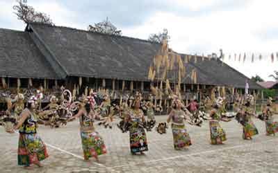 Indonesian Culture and Tradition: Dayak Tribes in Borneo