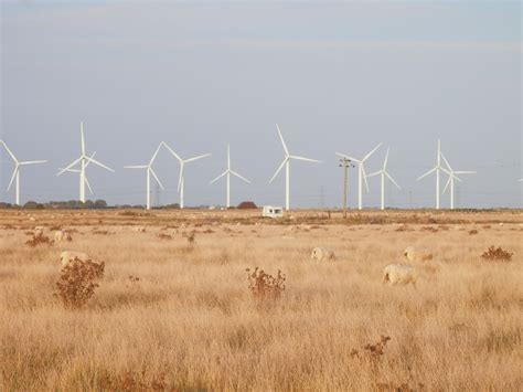 Recommendation to speed up onshore wind farms | Institute of Acoustics