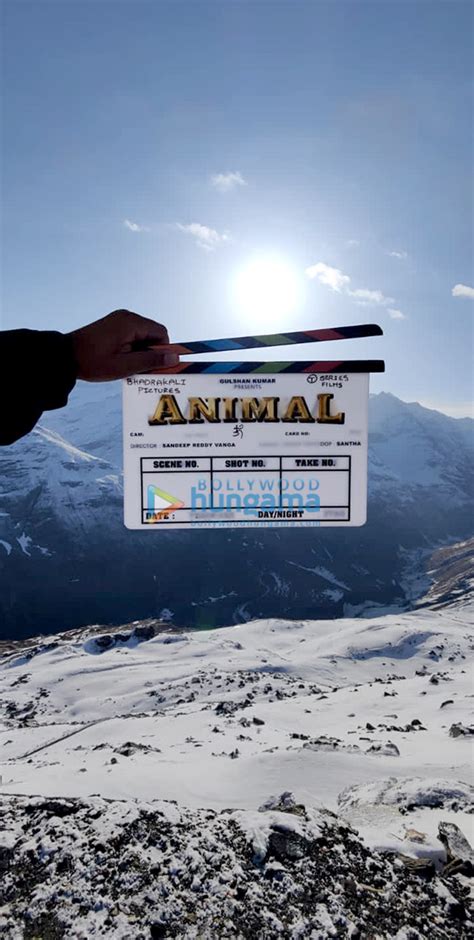 Animal Movie: Review | Release Date (2023) | Songs | Music | Images | Official Trailers | Videos ...