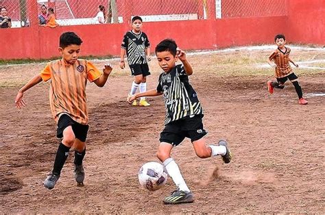 Cefor Laf Se Mide A Tlacuaches Veracruz